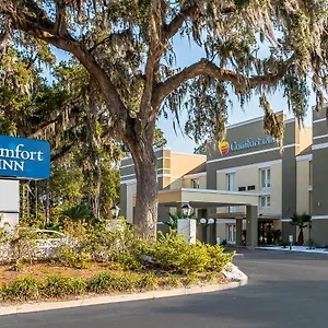 Comfort Savannah